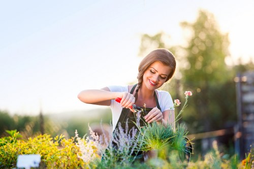 Gardener inspecting a client garden, safety-focused scene