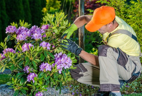 Garden Maintenance Lee team at work