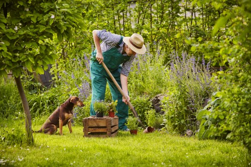 Eco-friendly lawn mowing equipment