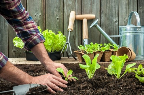 Gardener preparing tools at the start of a maintenance task in Lee