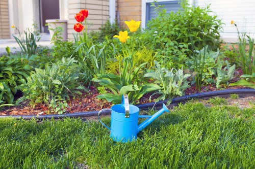 Beautifully landscaped garden in Lee with vibrant flowers and greenery