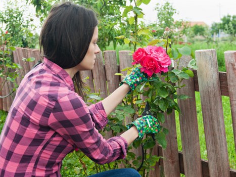 Crew member sorting green garden waste into separate containers