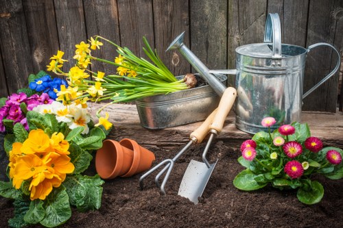 Essential tools for hedge trimming