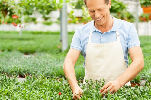 Garden planning and plant selection in Lee