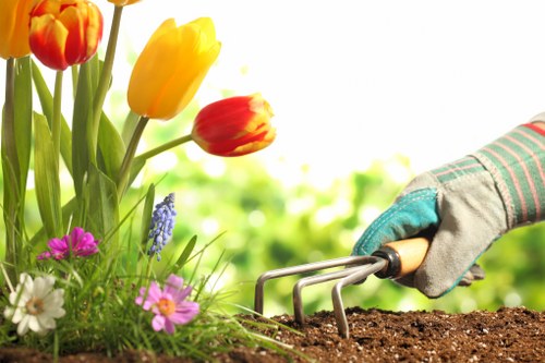 Seasonal garden maintenance in full bloom during spring in Lee