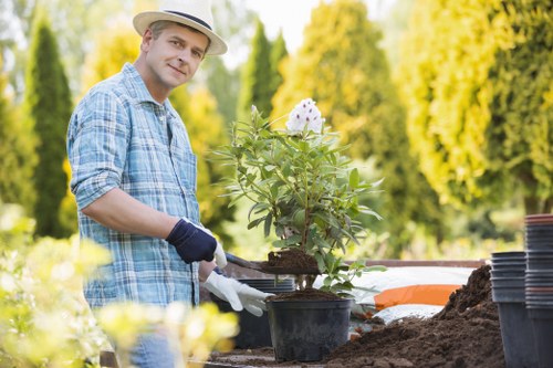 Professional landscaper designing a garden layout in Lee