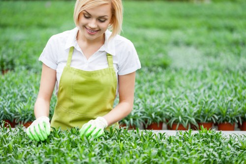 Healthy trees maintained by Lee tree service