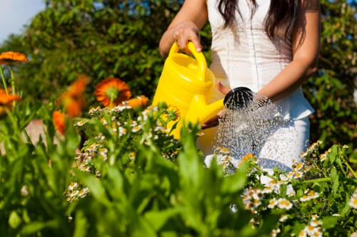 Summer garden maintenance with vibrant plants and blooms