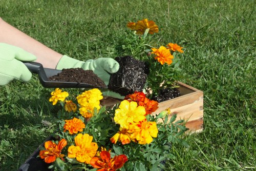 Professional using hedge trimming tools
