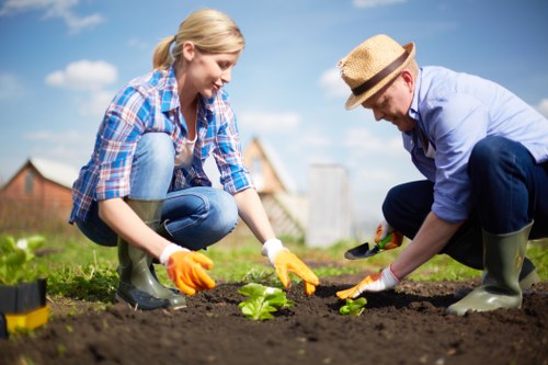 Healthy green lawn maintained by professionals