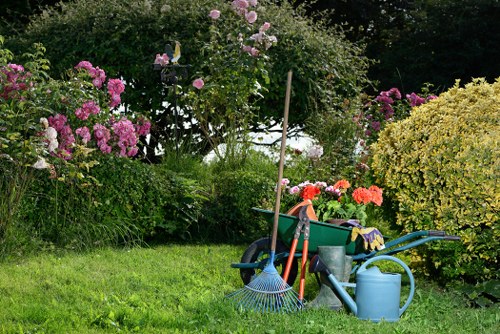 Soil preparation and fertilization process
