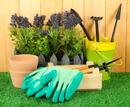 Pruning tools and healthy plants in garden maintenance
